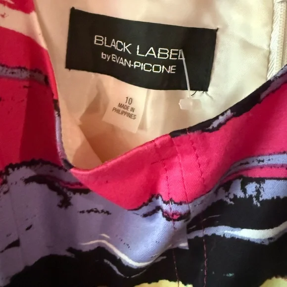 Black Label NWT Colorful Striped Sleeveless Dress - Picture 4 of 8